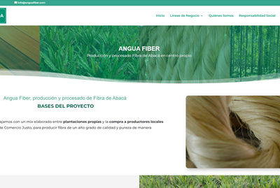 Diseño Web para Angua