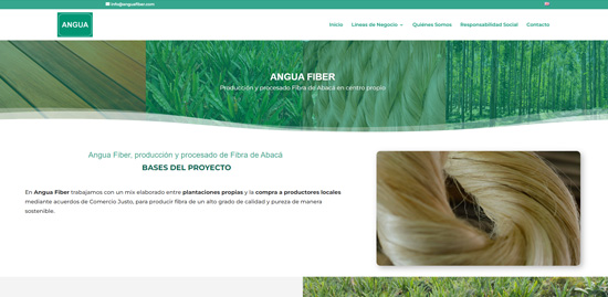 Diseño web para Angua